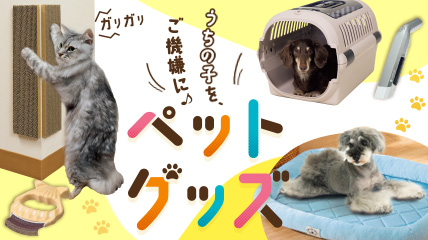 うちの子を、ご機嫌に♪ペットグッズ
