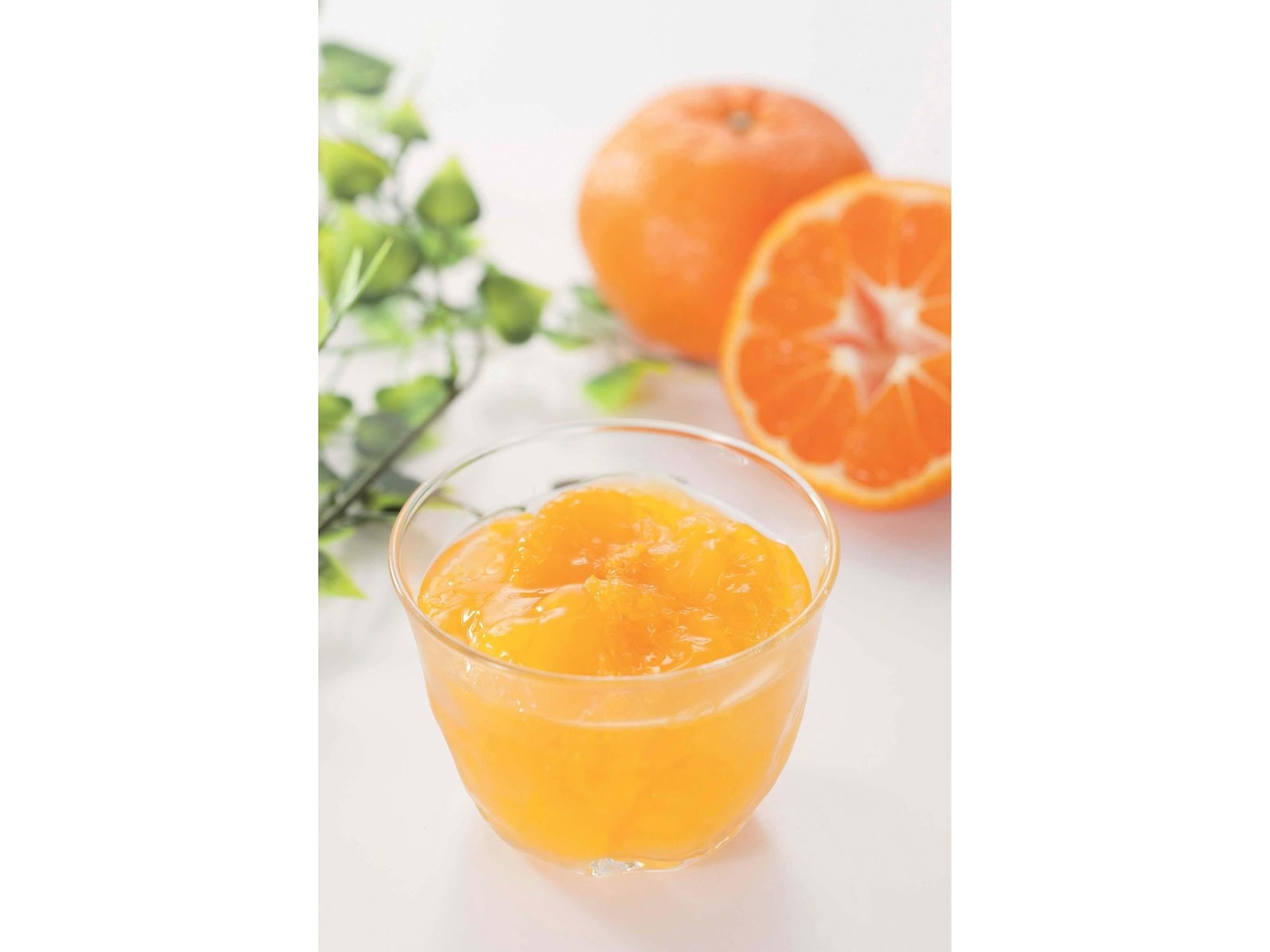 こみかん 和歌山産業 果肉入りみかんゼリー 83g×6コ入| コープこうべネット